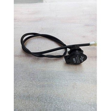 Arora Hector  Usb